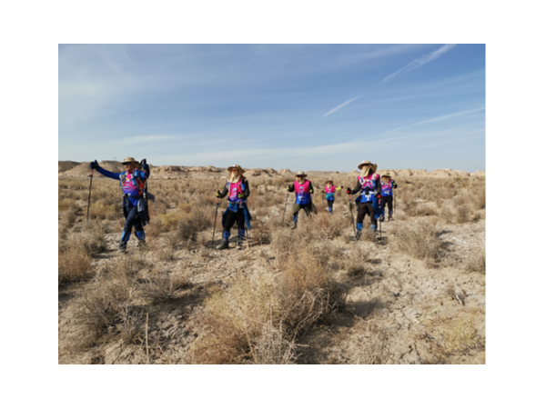 蘇州工具柜廠家天金岡領導人領略敦煌大漠魅力，感悟生命的意義！